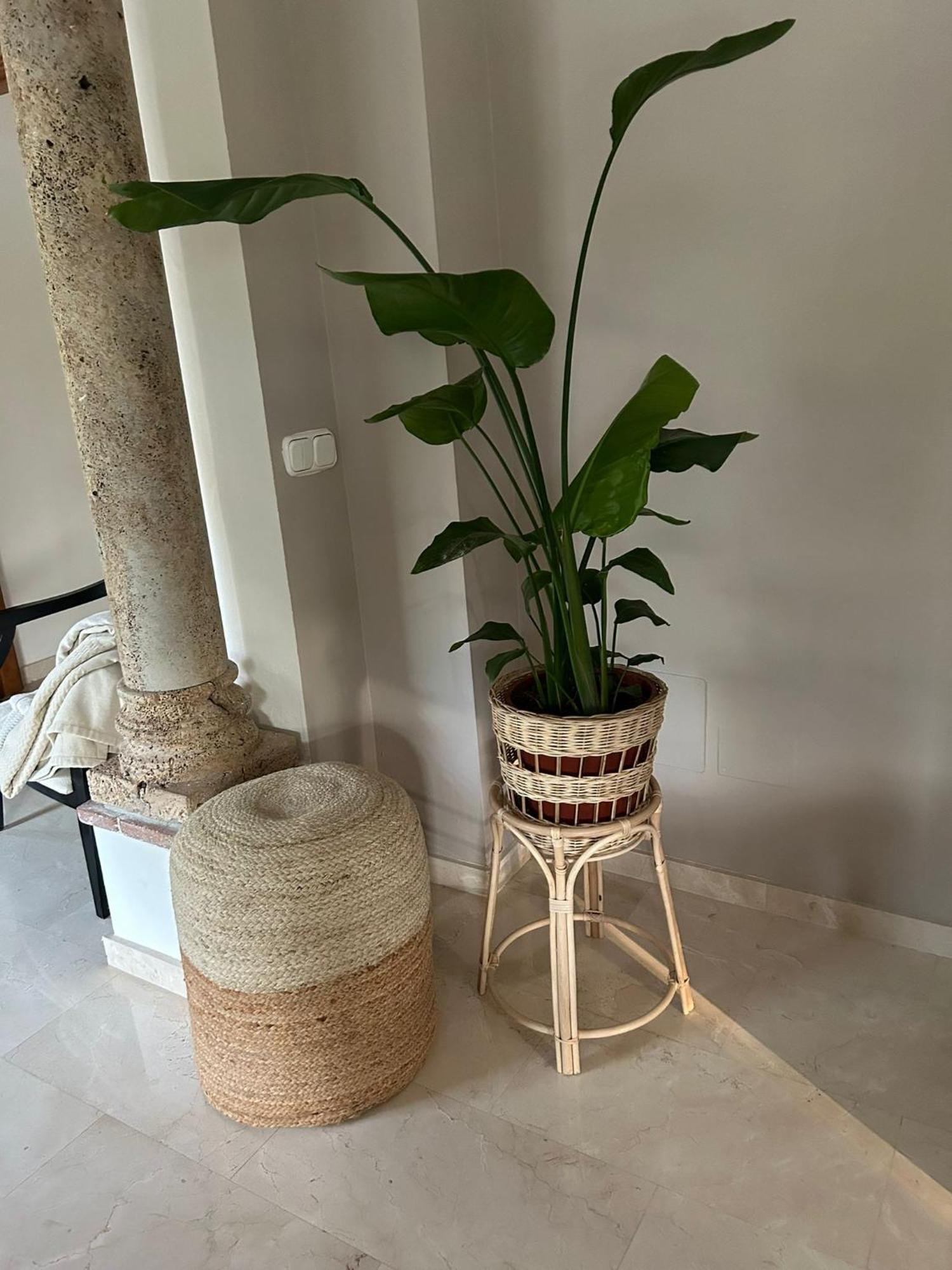 Heal Villa Marbella